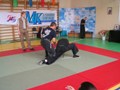 017.jpg